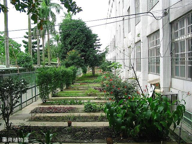 藥用植物區